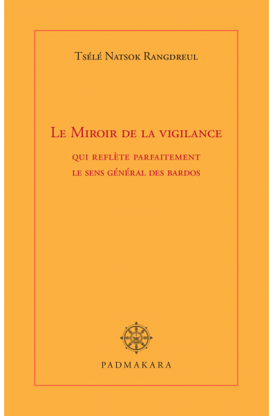 Miroir de la vigilance