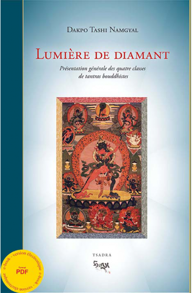 Lumière de diamant ebook - pdf