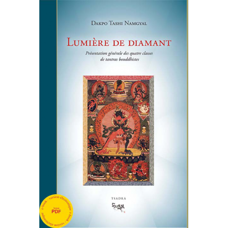 Lumière de diamant ebook - pdf