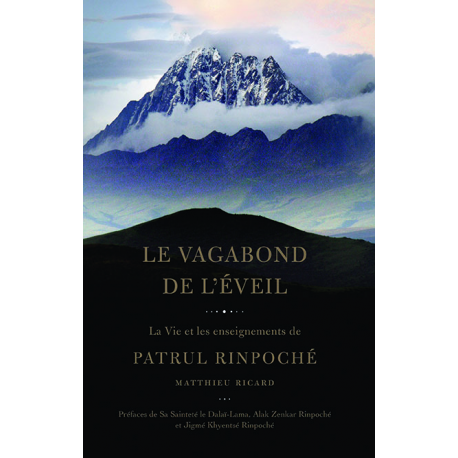 Le Vagabond de l'Éveil