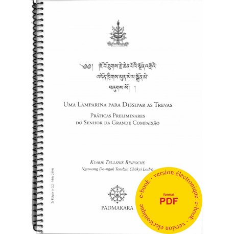 Lamparina para Dissipar as Trevas - Ebook pdf