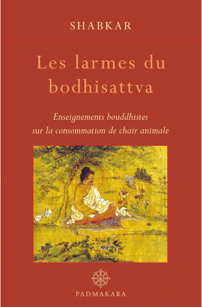Larmes du Bodhisattva (Les)