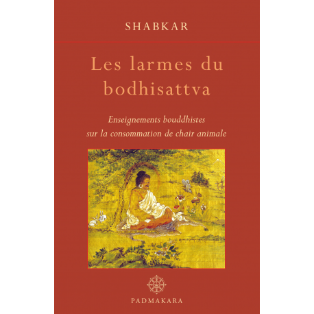 Larmes du Bodhisattva (Les)