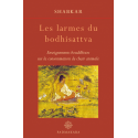 Larmes du Bodhisattva (Les)