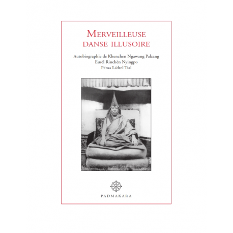 Merveilleuse Danse Illusoire