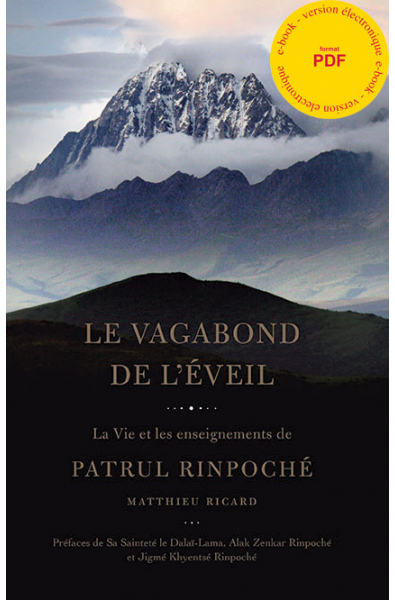 Vagabond de l'Éveil - ebook pdf