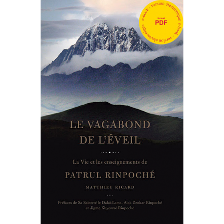 Vagabond de l'Éveil - ebook pdf