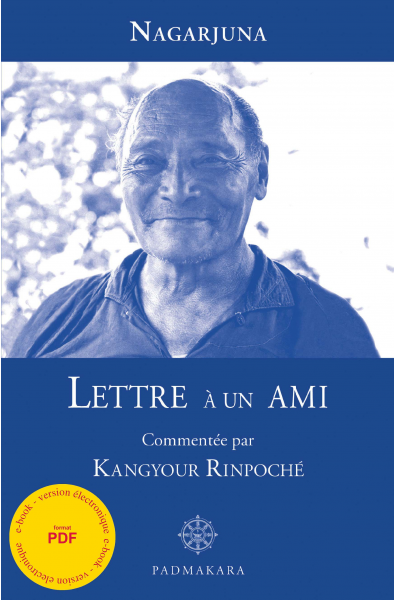 Lettre à un Ami - ebook - format pdf