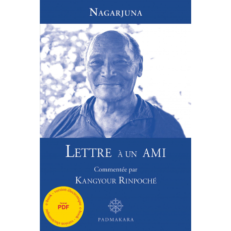 Lettre à un Ami - ebook - format pdf