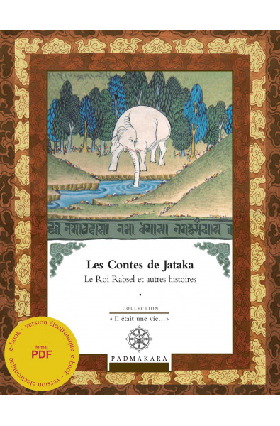 Contes de Jataka 2 - ebook - format pdf