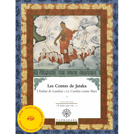 Contes de Jataka 3 - ebook - format pdf