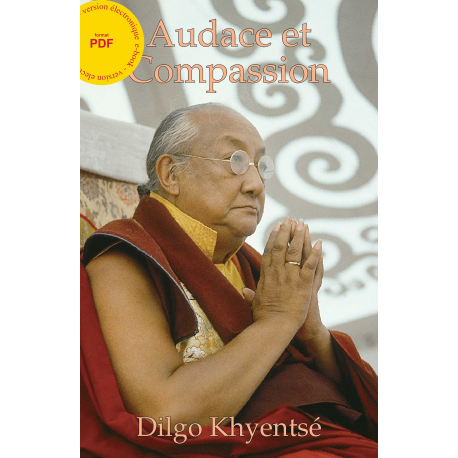 Audace et Compassion - ebook - format pdf