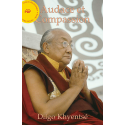 Audace et Compassion - ebook - format pdf