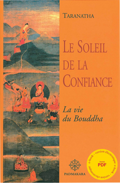 Soleil de la Confiance (Le) - ebook - format pdf