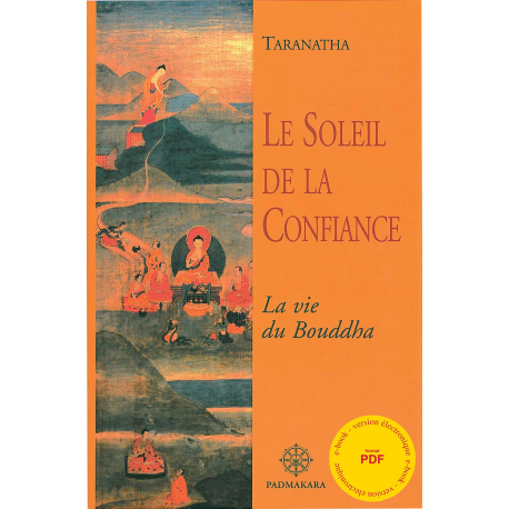 Soleil de la Confiance (Le) - ebook - format pdf