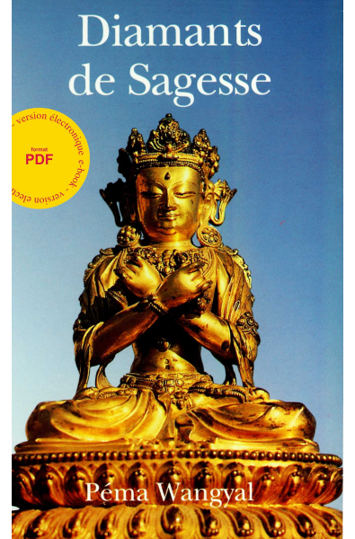 Diamants de Sagesse - ebook - format pdf