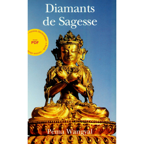 Diamants de Sagesse - ebook - format pdf
