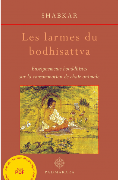 Larmes du bodhisattva (Les) - ebook - format pdf