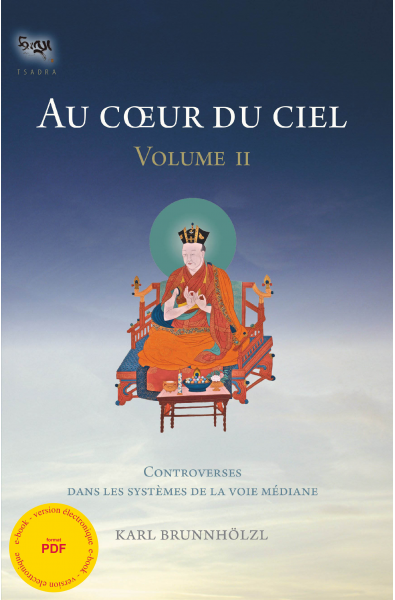 Au coeur du ciel - Vol. II - ebook - pdf