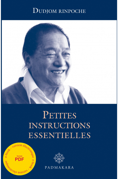 Petites Instructions Essentielles - ebook - format pdf