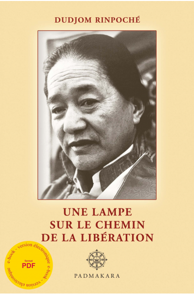Lampe sur le chemin de la libération (Une) - ebook - format pdf
