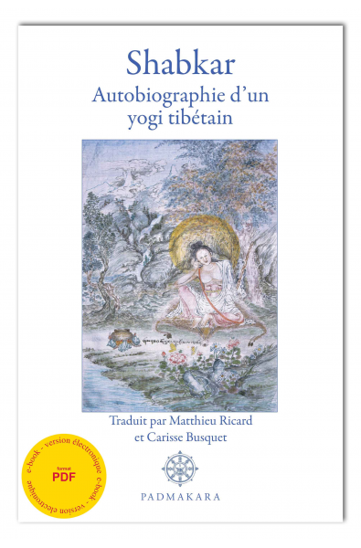 SHABKAR, (ebook - pdf) autobiographie d'un yogi tibétain