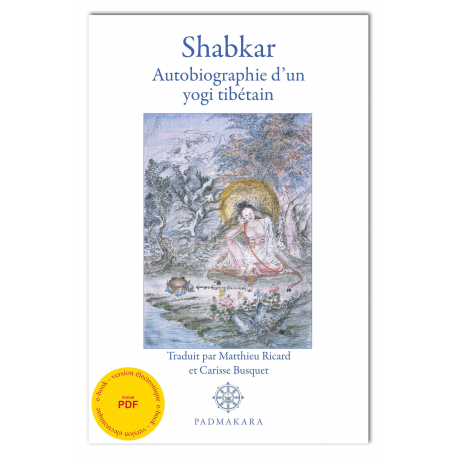 SHABKAR, (ebook - pdf) autobiographie d'un yogi tibétain