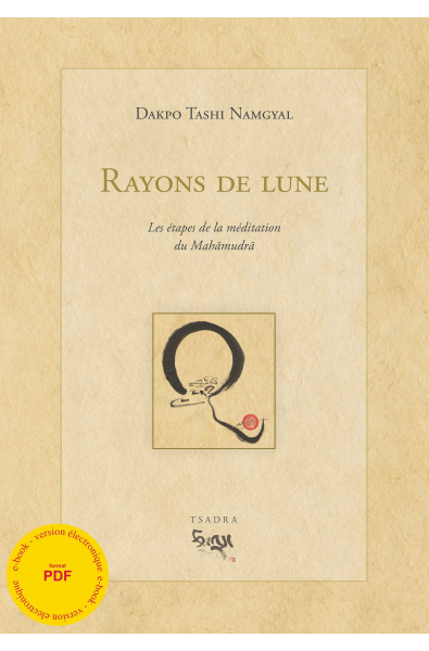 Rayons de lune - ebook - format pdf