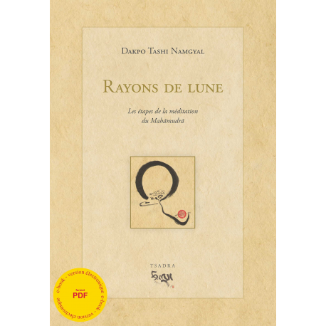 Rayons de lune - ebook - format pdf