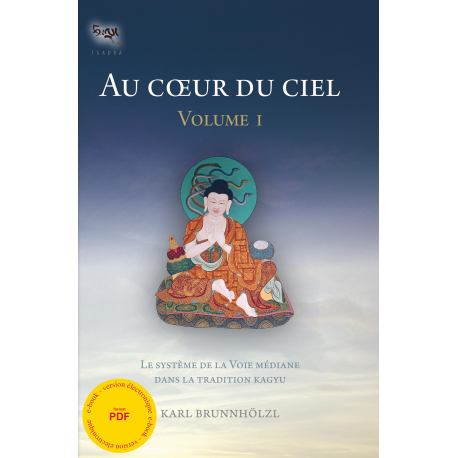 Au coeur du ciel - vol. I - ebook - pdf