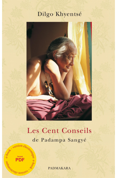 Cent Conseils (Les) - ebook - format pdf