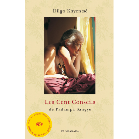 Cent Conseils (Les) - ebook - format pdf