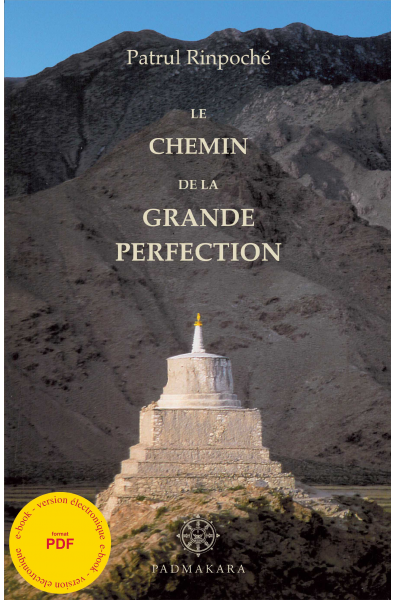 Chemin de la Grande Perfection - ebook - pdf