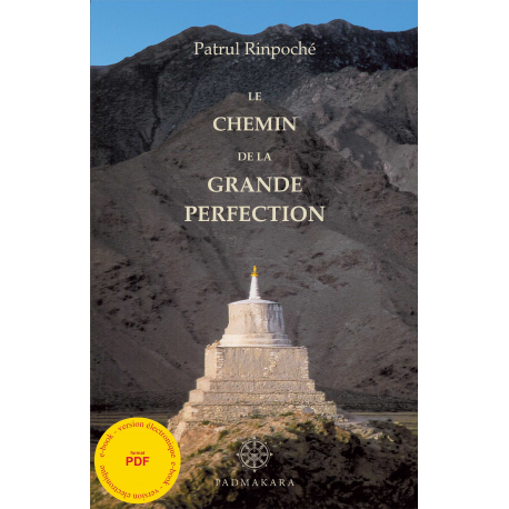 Chemin de la Grande Perfection - ebook - pdf