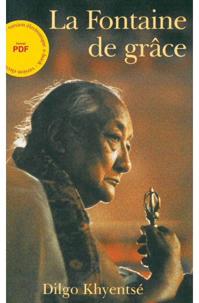 Fontaine de Grâce - ebook - format pdf