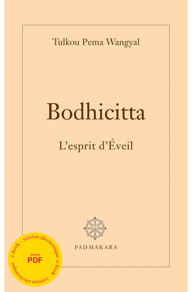 Bodhicitta, l'Esprit d'Eveil - ebook - format pdf