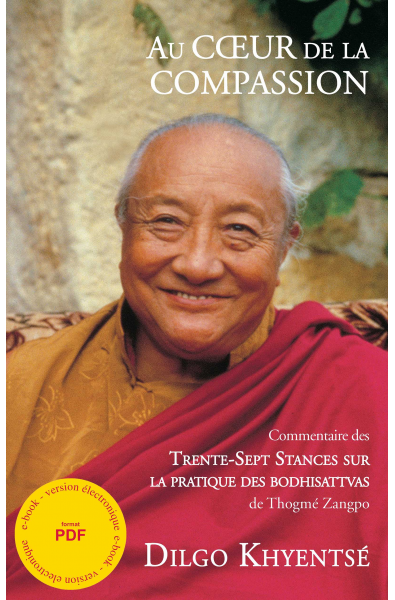 Au Coeur de la Compassion - ebook - format pdf