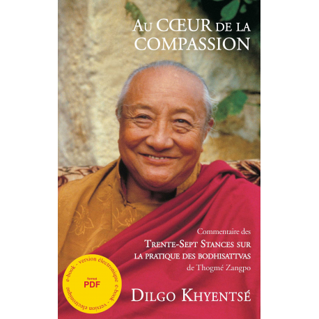 Au Coeur de la Compassion - ebook - format pdf