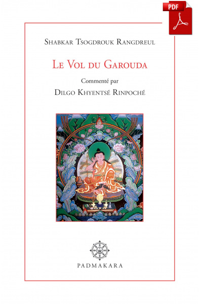 Le vol du Garouda_Ebook_Pdf