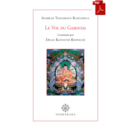 Le vol du Garouda_Ebook_Pdf