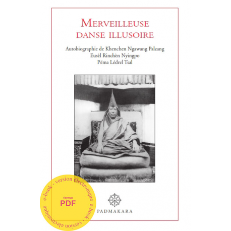 Merveilleuse Danse Illusoire Ebook PDF