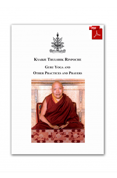 Kyabje Trulshik Rinpoche Guru Yoga and other practices - ebook pdf