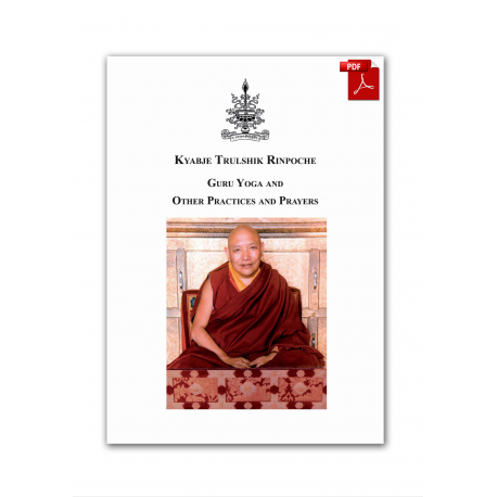 Kyabje Trulshik Rinpoche Guru Yoga and other practices - ebook pdf