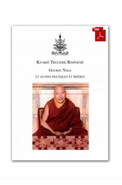 Kyabjé Trulshik Rinpoché Guru Yoga et autres prières - ebook pdf