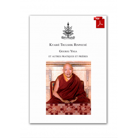Kyabjé Trulshik Rinpoché Guru Yoga et autres prières - ebook pdf