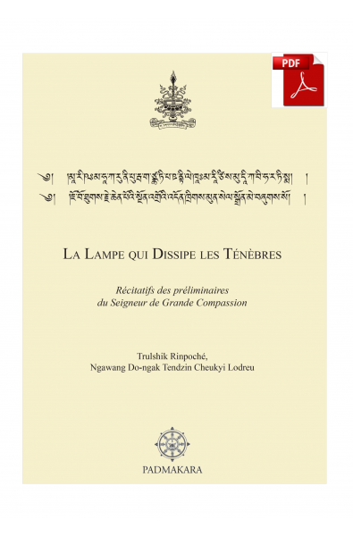 Lampe qui dissipe les ténèbres (La) - ebook pdf