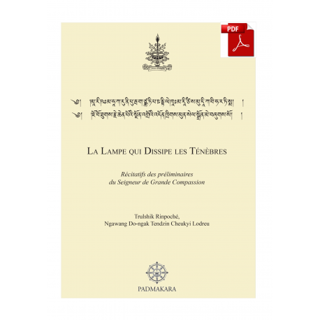 Lampe qui dissipe les ténèbres (La) - ebook pdf