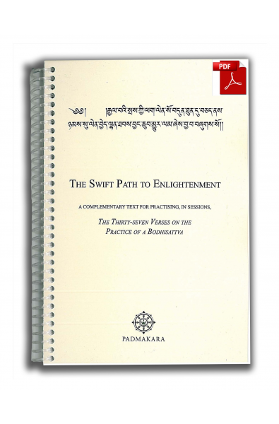 Swift Path to Enlightenment - ebook pdf
