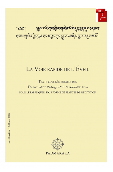 Voie rapide de l'Eveil - ebook pdf