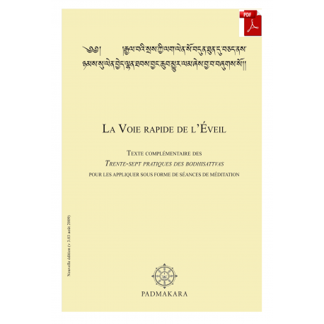 Voie rapide de l'Eveil - ebook pdf